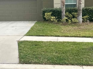 Jeanie O.'s Lawn Maintenance service result