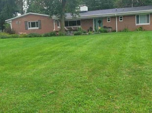 Jennifer S.'s Lawn Care service result