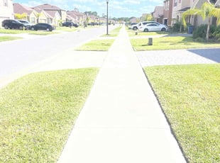 Ed K.'s Lawn Maintenance service result