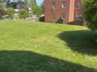Chico M.'s Grass Cutting service result