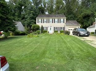 Tammy m.'s Yard Cutting service result