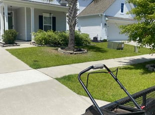 Troy D H.'s Lawn Care service result