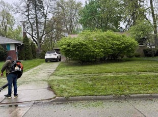 Leaf Removal by Ricardo Binyard Jr for Esther B. in Southfield, MI