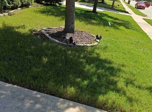 Curtis C.'s Lawn Care service result