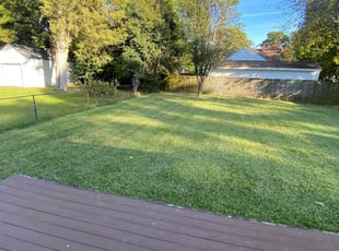 Anthony H.'s Lawn Care service result