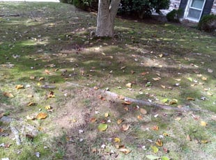 Cleanups by Giovanni HErnandez for Marva M. in Upper Marlboro, MD