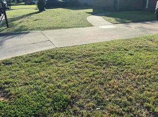 Faith H.'s Lawn Care service result