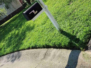 April C.'s Lawn Service service result