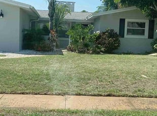 Misty S.'s Lawn Care service result