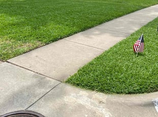 Lowe G.'s Lawn Mowing service result