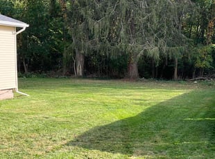 Esia C.'s Lawn Mowing service result