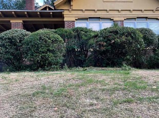 Bush Trimming by Nathaniel Stanley for Paula F. in Atlanta, GA