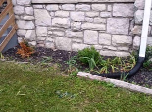 Weeding by Alan Johnson for Chanel F. in Kansas City, MO