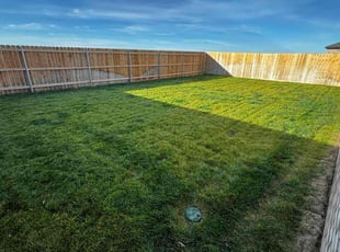Jimmy Z.'s Grass Cutting service result