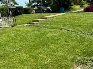 David S.'s Lawn Maintenance service result
