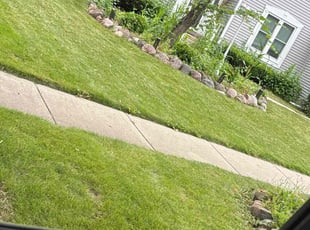Veronica W.'s Lawn Mowing service result