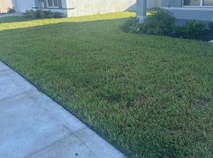 Kim H.'s Lawn Mowing service result