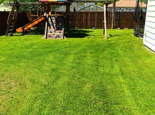 Joey F.'s Yard Cutting service result
