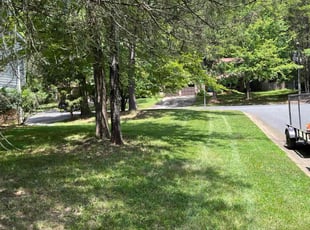 Catherine P.'s Lawn Mowing service result