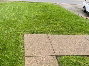 Elijah O.'s Lawn Care service result