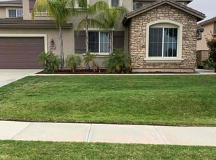 Sandra L.'s Lawn Mowing service result