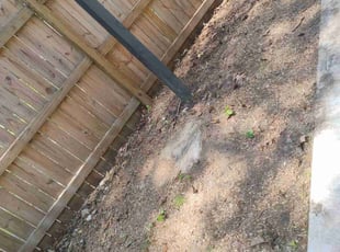 Leaf Removal by Luis Velasco Iraheta for Eric P. in Washington, DC