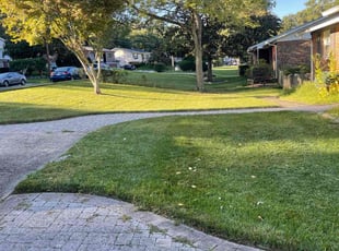 August D.'s Lawn Service service result