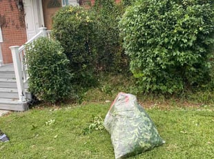 Bush Trimming by David Wilson for Karen M. in Norfolk, VA