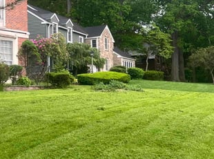 Ash W.'s Lawn Care service result
