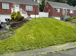 Lawrence D.'s Lawn Mowing service result
