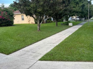 Marizela C.'s Lawn Mowing service result