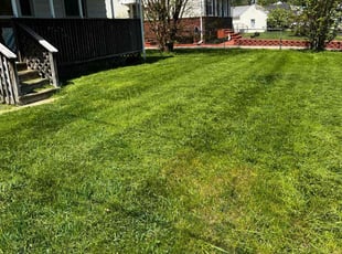 Devin L.'s Lawn Maintenance service result