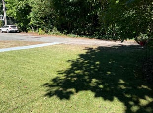Wayne E.'s Lawn Mowing service result