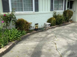 Bush Trimming by Michael Ruiloba for Cheryl H. in Stockton, CA