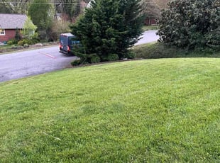 Khara N.'s Lawn Maintenance service result