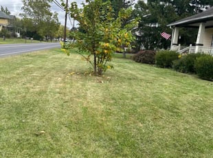 Hillery S.'s Lawn Mowing service result