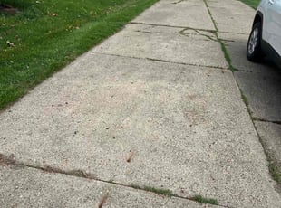 Richard B.'s Lawn Mowing service result