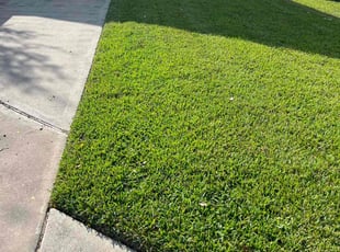 steve t.'s Lawn Service service result