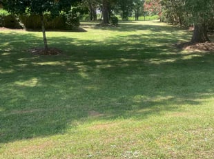 Brenton M.'s Lawn Care service result