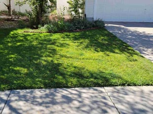 Arron K.'s Lawn Service service result