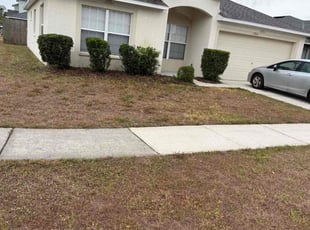 Bush Trimming by William Chavers for Kenneth k. in Riverview, FL