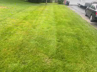 MaryAnn N.'s Yard Cutting service result