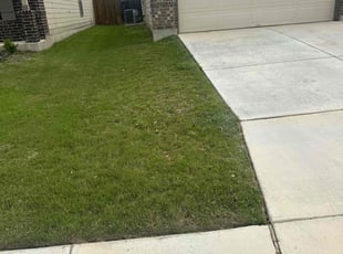 Nyesha M.'s Grass Cutting service result