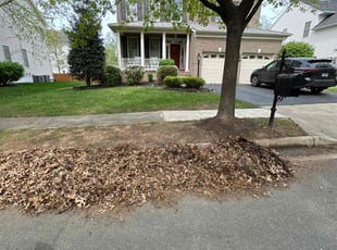 Leaf Removal by Miguel Rivera for Patrick H. in Haymarket, VA