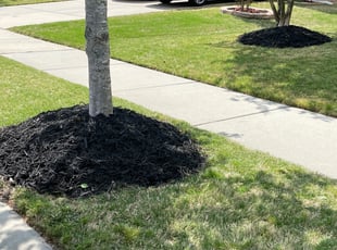 Mulching by Terrance Davis for Holly H. in Concord, NC