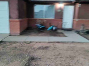 Leaf Removal by Oscar Laureano for Ricky O. in Mesa, AZ