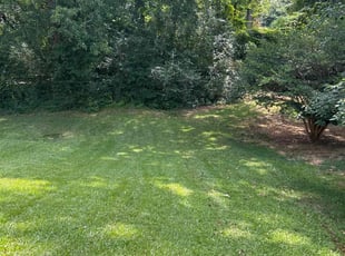 Alexis A.'s Lawn Maintenance service result