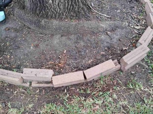 Leaf Removal by Omar Norris for Bridgit M. in Katy, TX
