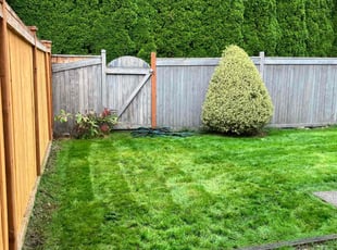 Grey H.'s Yard Cutting service result