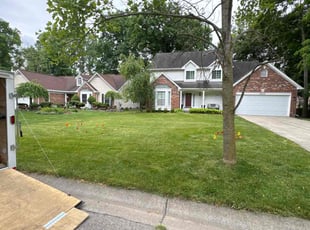 Sherry S.'s Lawn Mowing Service service result